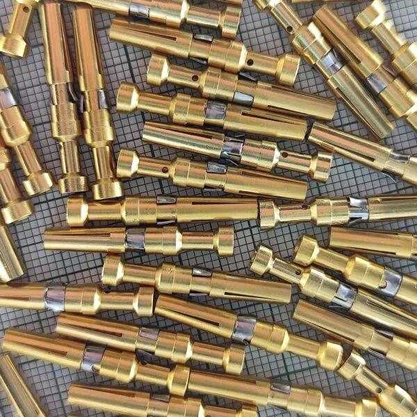 IMG_20241104_145504-600x600